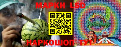 амф Обь